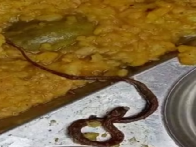 Dead snake found in food of Indian school, 100 children shifted to hospital